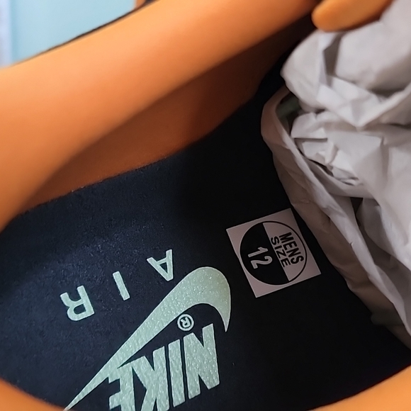 Air Max 1 Premium 'Ugly Duckling - Honeydew' - Picture 11 of 11